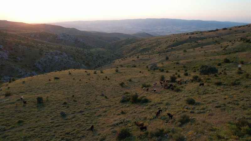 Başkent'te Karadeniz'i aratmayan yayla