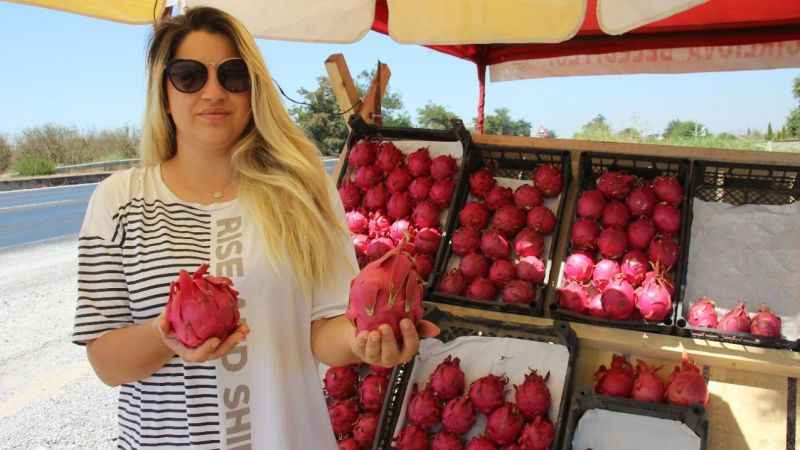 Yediği meyve hayatını değiştirdi, kendi işinin patronu oldu