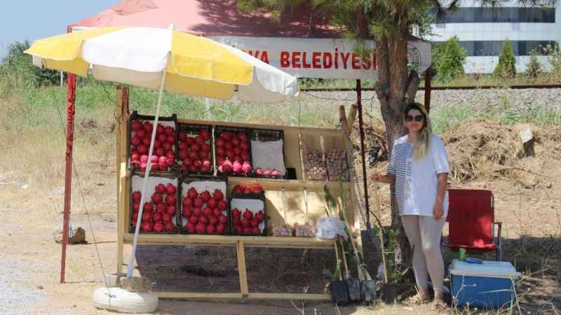 Yediği meyve hayatını değiştirdi, kendi işinin patronu oldu