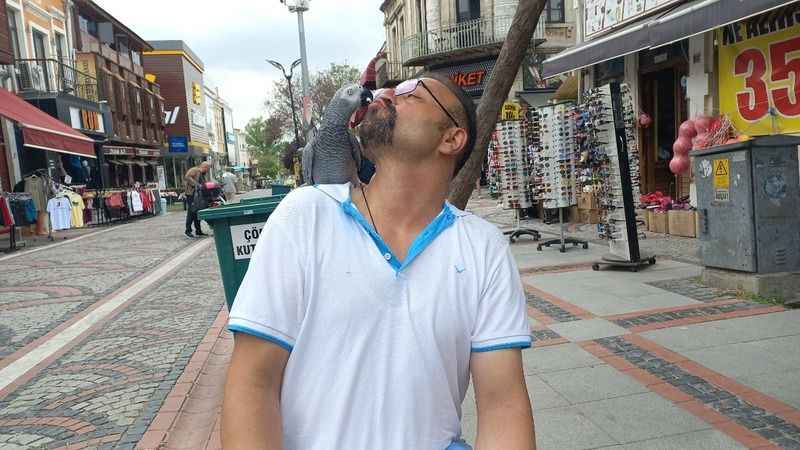 Hayat arkadaşı papağanı ile sokaklarda geziyor Hayat arkadaşı papağanı ile sokaklarda geziyor