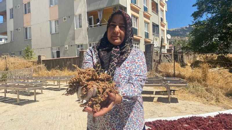 Girişimci kadın tescilli sumak ekşisi üretiyor Girişimci kadın tescilli sumak ekşisi üretiyor