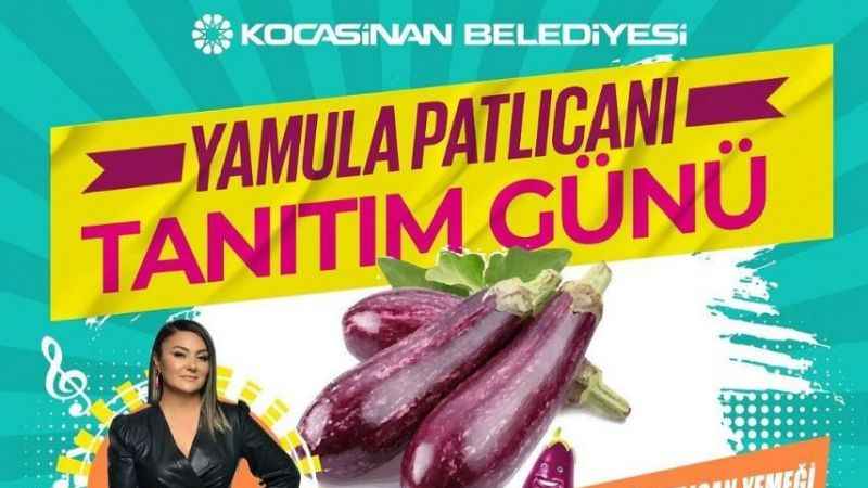 Patlıcan etkinliğine davetlisiniz! Patlıcan etkinliğine davetlisiniz!