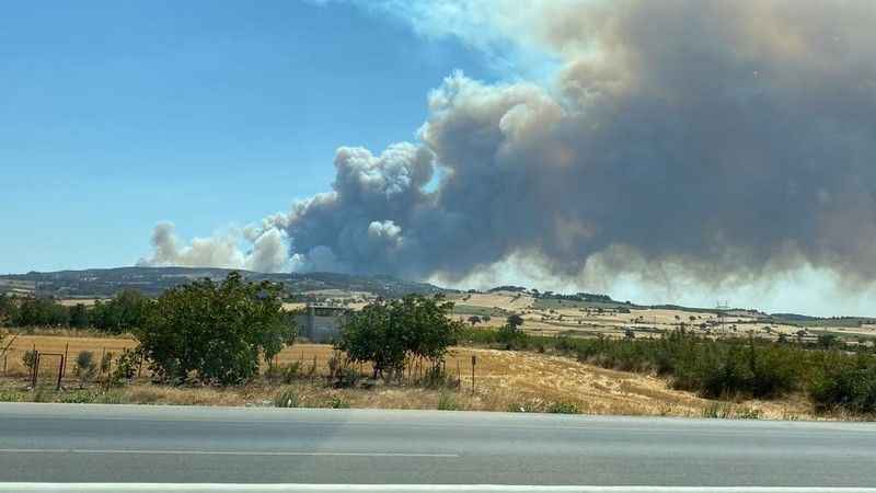 Çanakkale’de orman yangını Çanakkale’de orman yangını