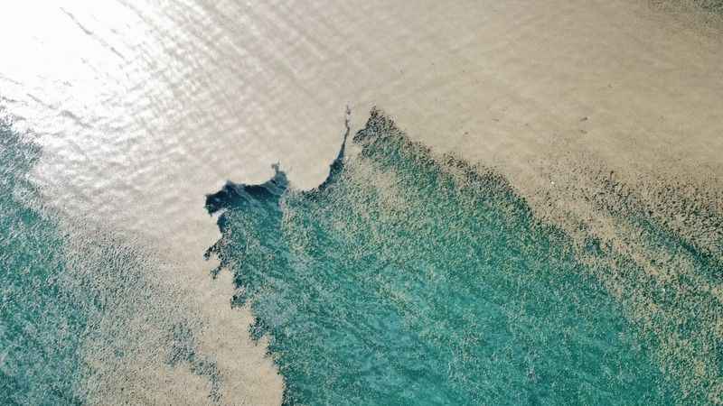 Suların çekilmesiyle Van Gölü sahilleri bataklığa dönüştü Suların çekilmesiyle Van Gölü sahilleri bataklığa dönüştü