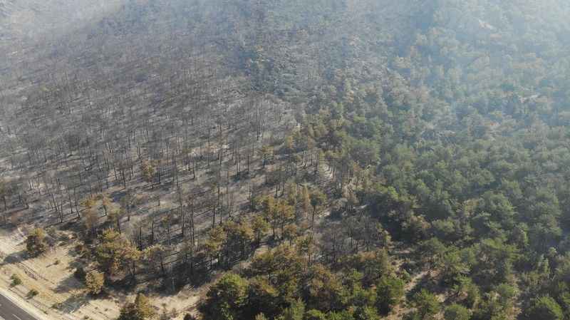 Eskişehir’deki orman yangını kontrol altına alındı