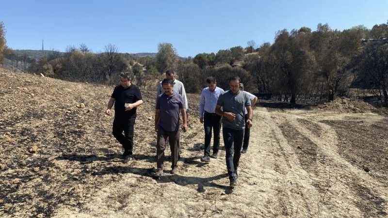 Vali İlhami Aktaş, yangından etkilenen köylerde incelemelerde bulundu Vali İlhami Aktaş, yangından etkilenen köylerde incelemelerde bulundu