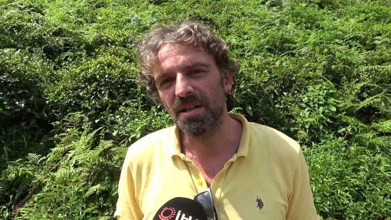 Karadeniz'de Vampir Kelebek istilası Karadeniz'de Vampir Kelebek istilası