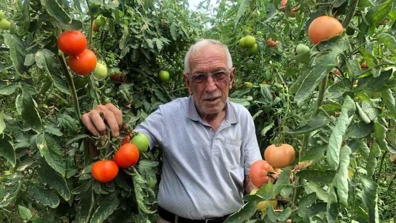 Seracılık üreticinin yüzünü güldürüyor