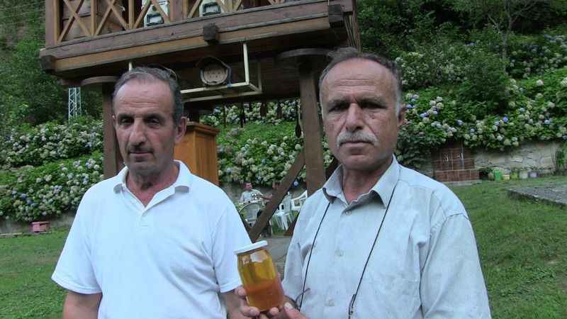 Macahel balı Anzer Balı'na rakip oluyor
