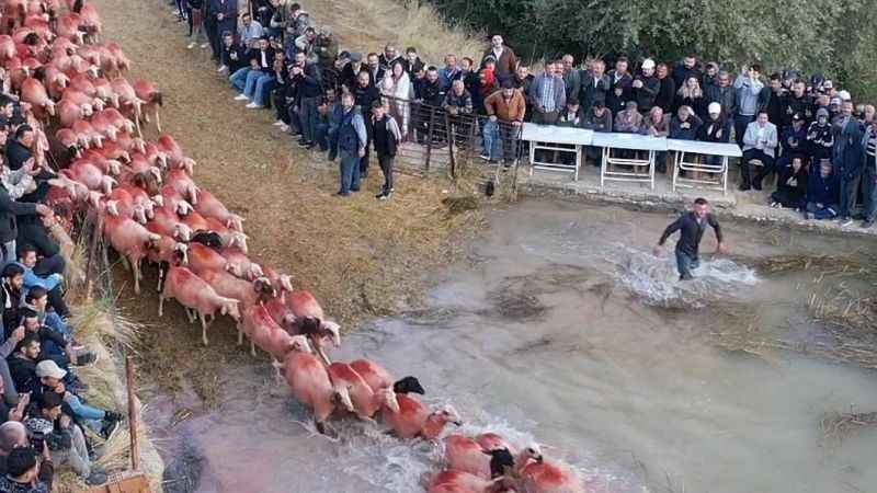 750 yıllık Yörük geleneği renkli görüntülere sahne oldu 750 yıllık Yörük geleneği renkli görüntülere sahne oldu