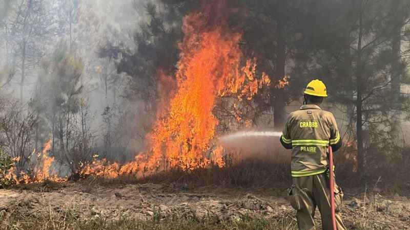 Texas’ta orman yangını: 4 bin 428 dönüm alan yandı Texas’ta orman yangını: 4 bin 428 dönüm alan yandı