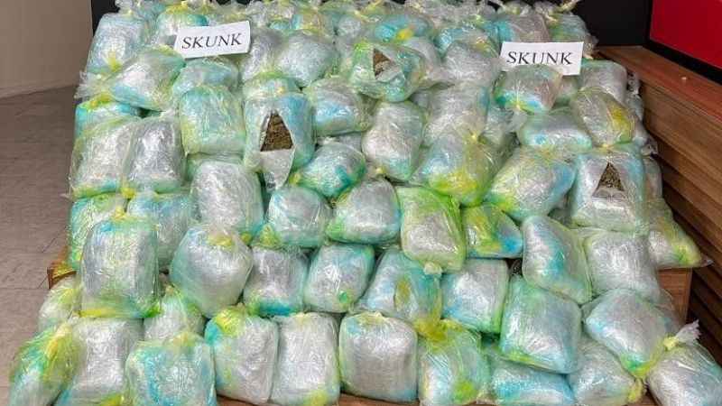 Şanlıurfa’da uyuşturucu operasyonu: 167 kilogram skunk ele geçirildi Şanlıurfa’da uyuşturucu operasyonu: 167 kilogram skunk ele geçirildi