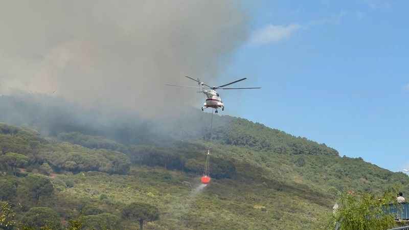 Başıbüyük Ormanı'nda çıkan yangına itfaiye ve helikopter müdahale ediyor