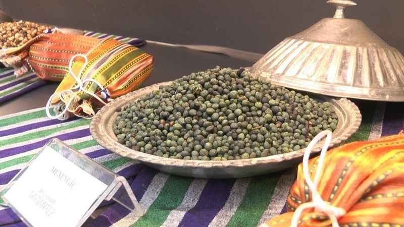 Fıstığın başkenti Gaziantep’te fıstığın tarihine yolculuk