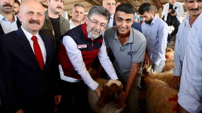 Depremden etkilenen illerde küçükbaş, kanatlı hayvan ve arılı kovan dağıtımları tamamlandı