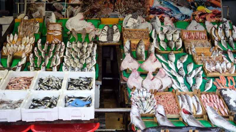 Balık sezonu hamsi bolluğuyla başladı