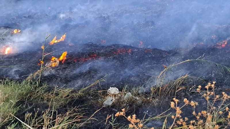 Van Gölü sahilinde sazlık yangını Van Gölü sahilinde sazlık yangını