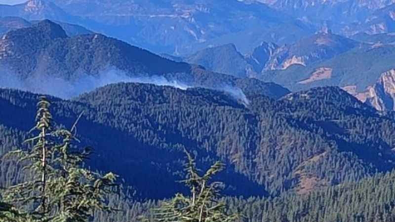 Adana Feke de orman yangını Adana Feke de orman yangını