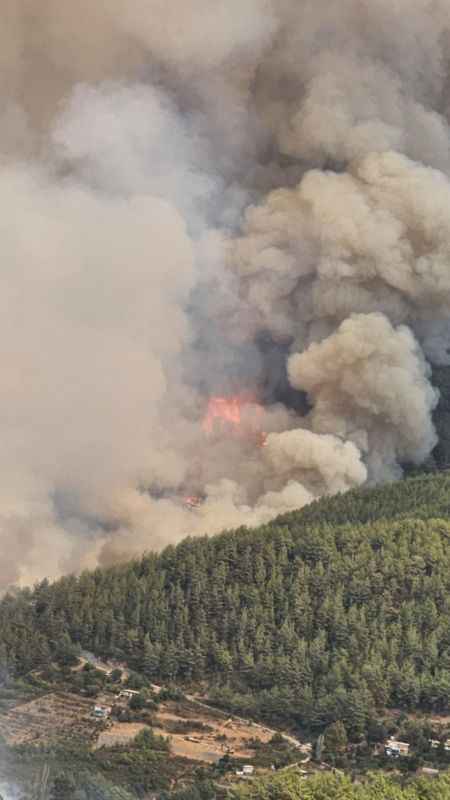 Alanya'daki orman yangını geniş bir alanda devam ediyor