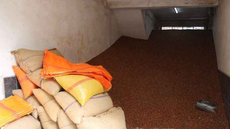 Serbest piyasada fındık 100 TL’ye ulaştı Serbest piyasada fındık 100 TL’ye ulaştı