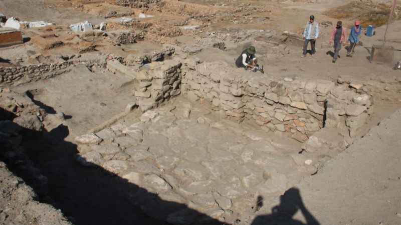 Bu buğday taneleri tarihe ışık tutacak