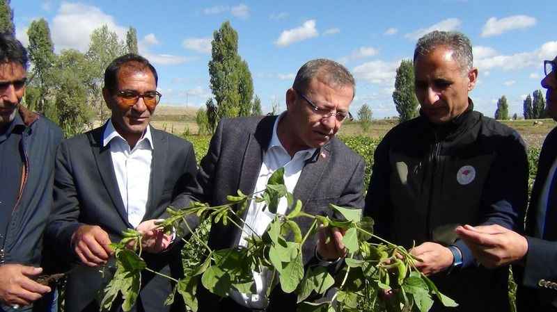 Kars’ta ilk kez ekilen soya fasulyesi hasadı yapıldı