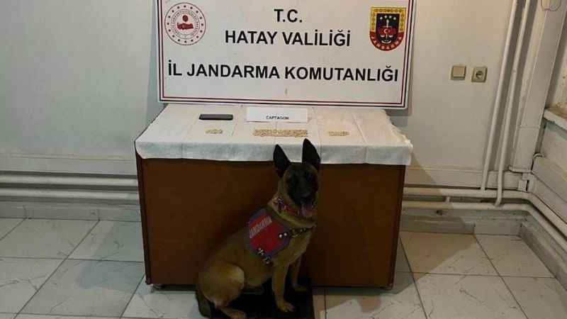 Hatay’da bin 51 adet captagon hap ele geçirildi Hatay’da bin 51 adet captagon hap ele geçirildi