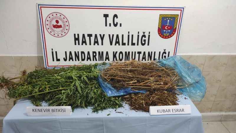 Ormanlık alanda uyuşturucu ele geçirildi