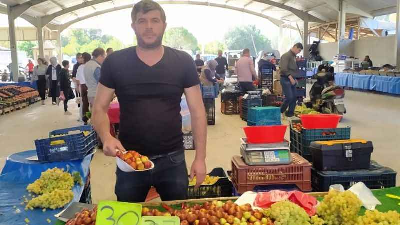 Hisarcık’ta fiyatı 30 TL’ye düşen şifa deposu hünnapa rağbet arttı