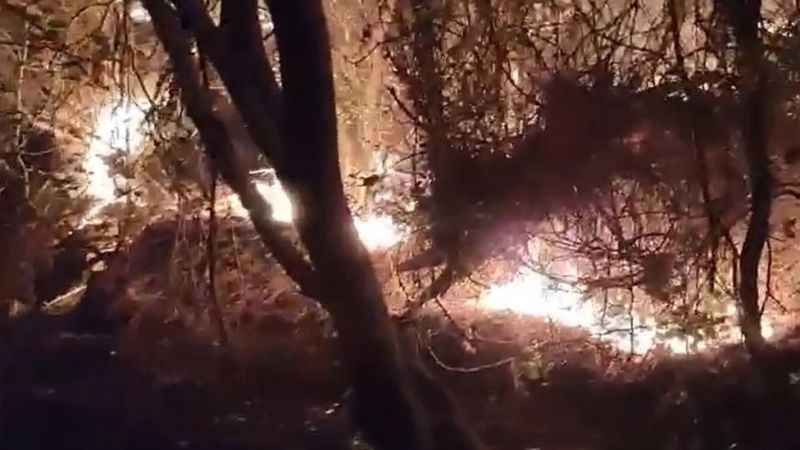 Marmaris'te yıldırım düşmesi sonucu orman yangını çıktı Marmaris'te yıldırım düşmesi sonucu orman yangını çıktı