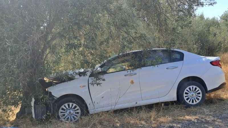 Çanakkale’de otomobil zeytin ağacına çarptı: 1 ölü, 1 yaralı