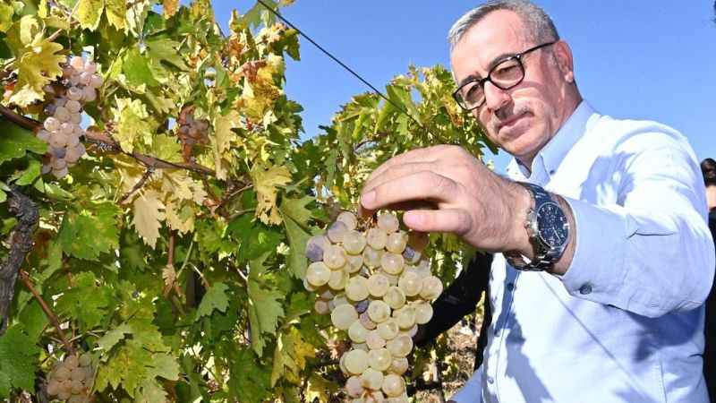 Başkan Güngör; “Bertiz Kabarcık Üzümü’nün coğrafi tescilini aldık”