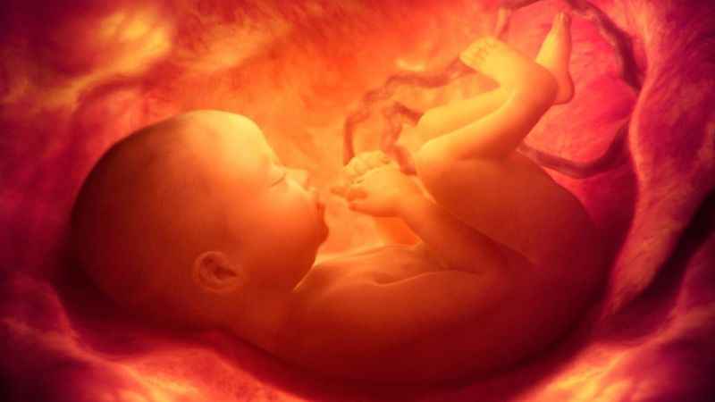 Anne karnındaki bebeğin gelişim anomalilerini saptayacak tarama testi projesine destek Anne karnındaki bebeğin gelişim anomalilerini saptayacak tarama testi projesine destek