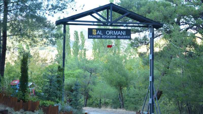 Türkiye’nin en büyük bal ormanı Kazdağları’nda olacak