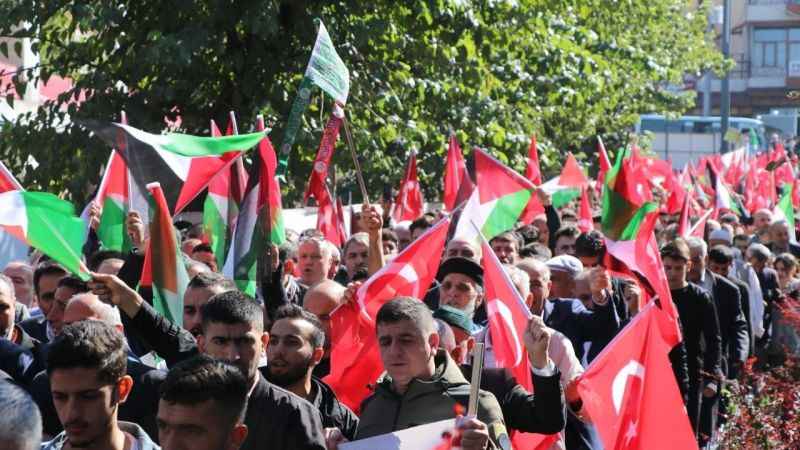 Siirt'te Filistin’e destek yürüyüşü Siirt'te Filistin’e destek yürüyüşü