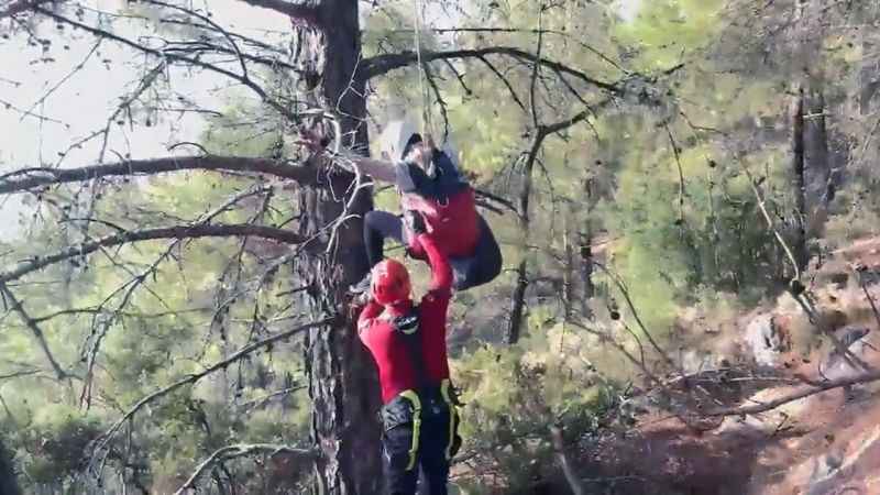 Yabancı uyruklu paraşütçü ağaçta asılı kaldı Yabancı uyruklu paraşütçü ağaçta asılı kaldı