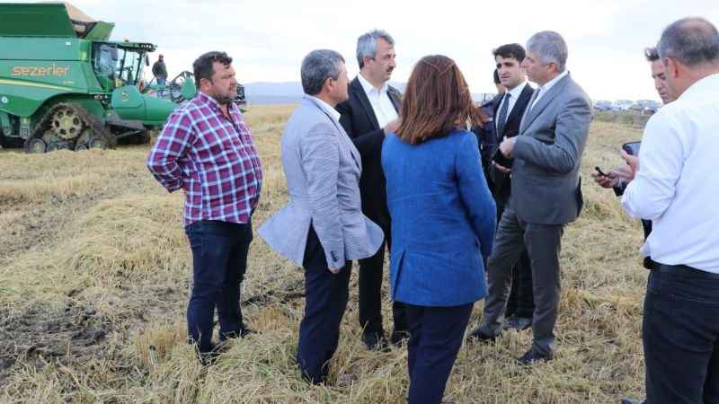 Edirne’de ’beyaz altın’ın hasadı başladı Edirne’de ’beyaz altın’ın hasadı başladı