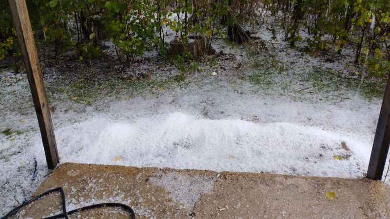Muş’un Varto ilçesinde etkili olan dolu yağışı sele neden oldu