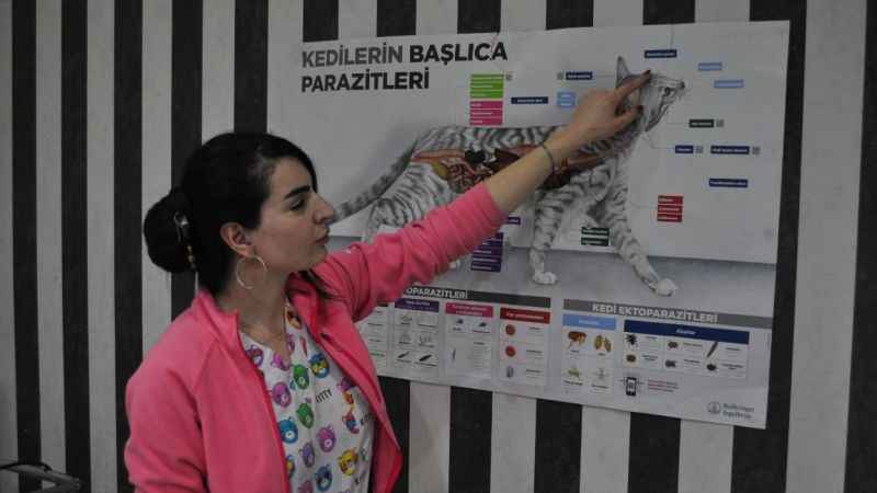Uyuz artışı nedeniyle iç-dış parazit tedbirleri daha kritik Uyuz artışı nedeniyle iç-dış parazit tedbirleri daha kritik