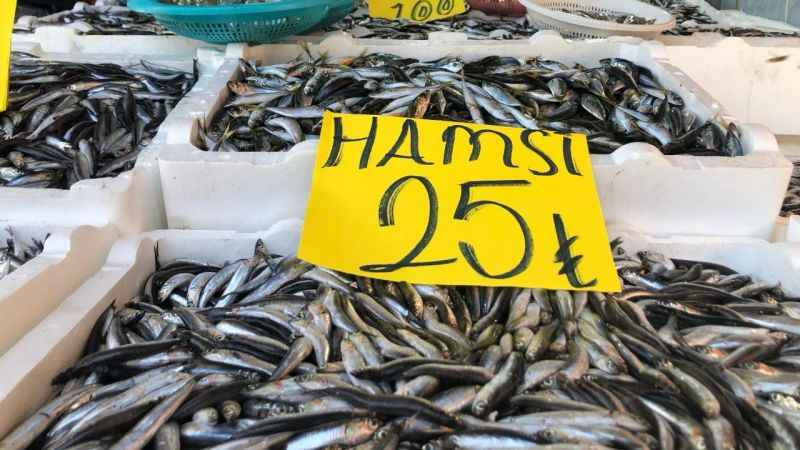 Hamside kampanya yaptı: 18 kiloluk hamsi kasasını 250 TL’den satışa çıkardı Hamside kampanya yaptı: 18 kiloluk hamsi kasasını 250 TL’den satışa çıkardı