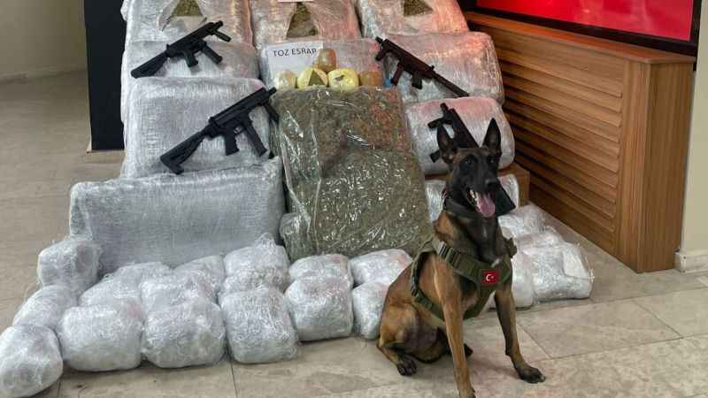 Şanlıurfa'da 170 kilo 700 gram skunk ele geçirildi Şanlıurfa'da 170 kilo 700 gram skunk ele geçirildi