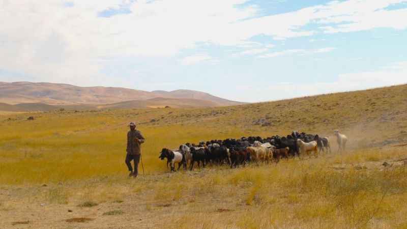 Kahramanmaraş'ta yayladan inişler başladı