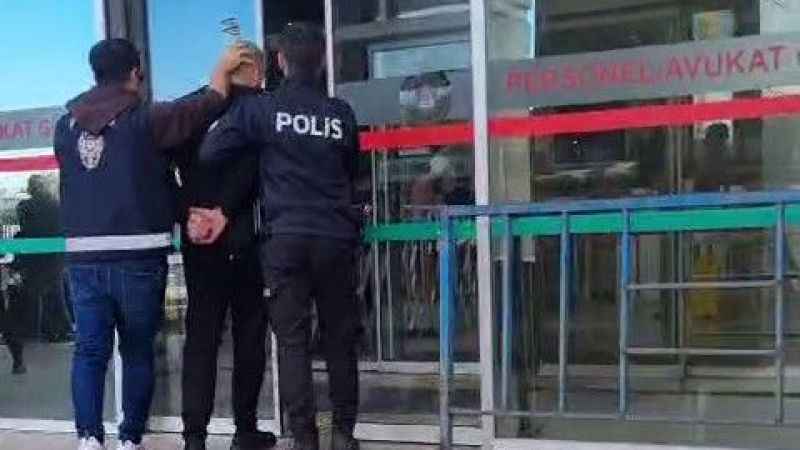 Fatih’te kedileri toplayan kişinin işyerinden çok sayıda ölü kedi çıktı