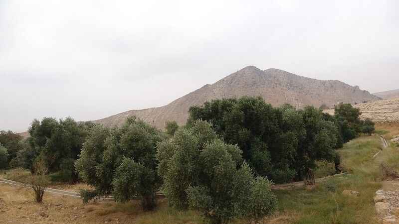 Mardin'deki tarihi köy turizme kazandırılmayı bekliyor