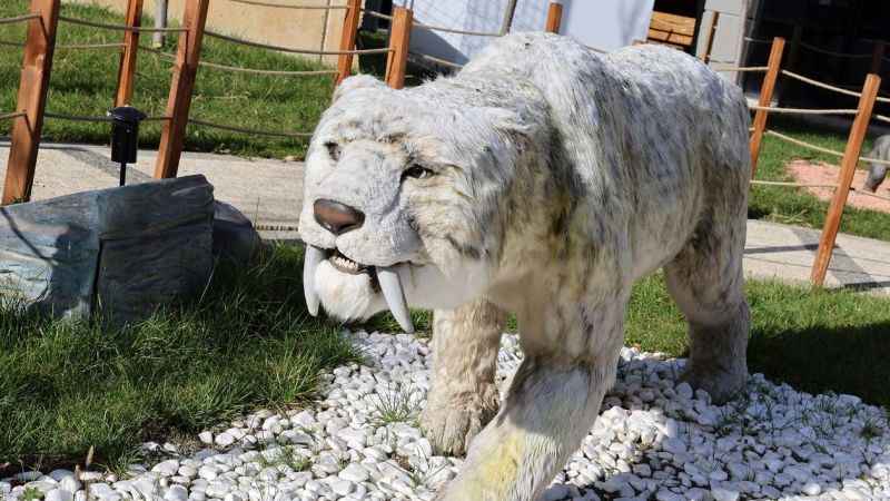 Ataşehir'de Evrensel Değerler Çocuk Müzesi Ataşehir'de Evrensel Değerler Çocuk Müzesi