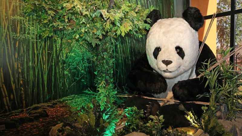 Ataşehir'de Evrensel Değerler Çocuk Müzesi Ataşehir'de Evrensel Değerler Çocuk Müzesi