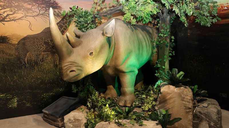 Ataşehir'de Evrensel Değerler Çocuk Müzesi Ataşehir'de Evrensel Değerler Çocuk Müzesi