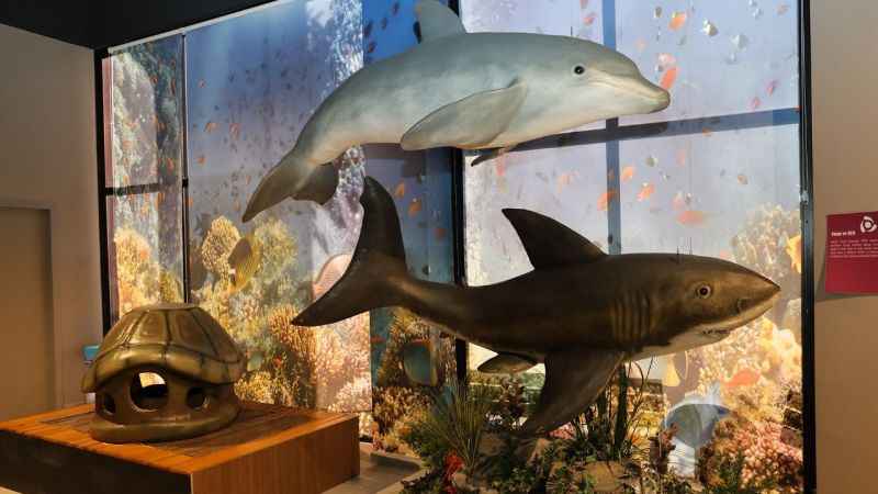 Ataşehir'de Evrensel Değerler Çocuk Müzesi Ataşehir'de Evrensel Değerler Çocuk Müzesi