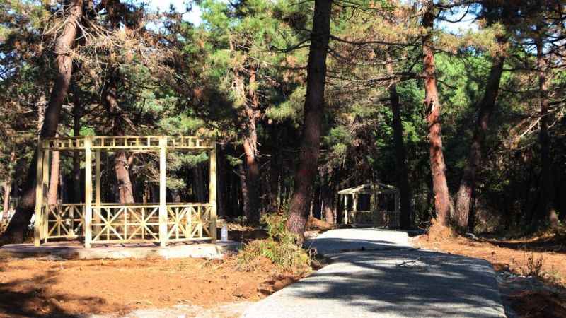 Çöp tesisi olacaktı, kent ormanı oluyor Çöp tesisi olacaktı, kent ormanı oluyor