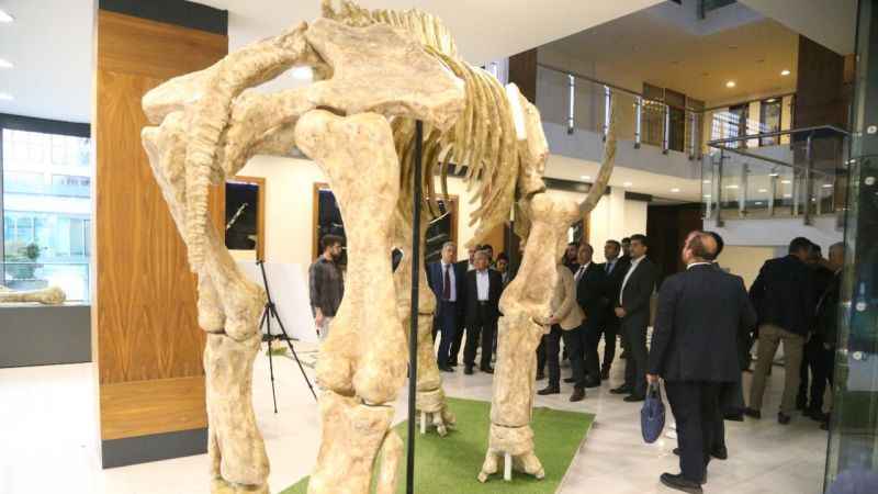 Kayseri'de 7,5 milyonluk fosil faunası sergileniyor